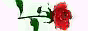 0a5581f0.gif