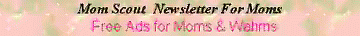 banner.gif