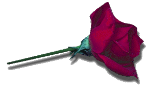 rosered.gif